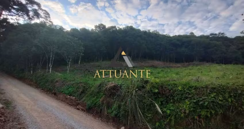 Área com 2 hectares próximo à Terceira Légua