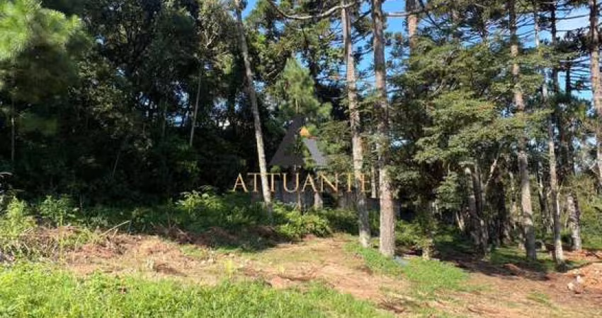 Terreno em Ana Rech/Vila Alpina