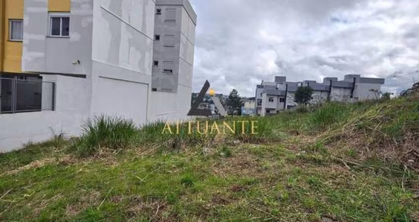 TERRENO NO BAIRRO SAO LUIZ