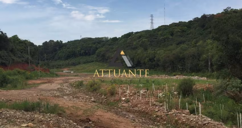 Oportunidade! Terrenos industriais às margens da RS 122