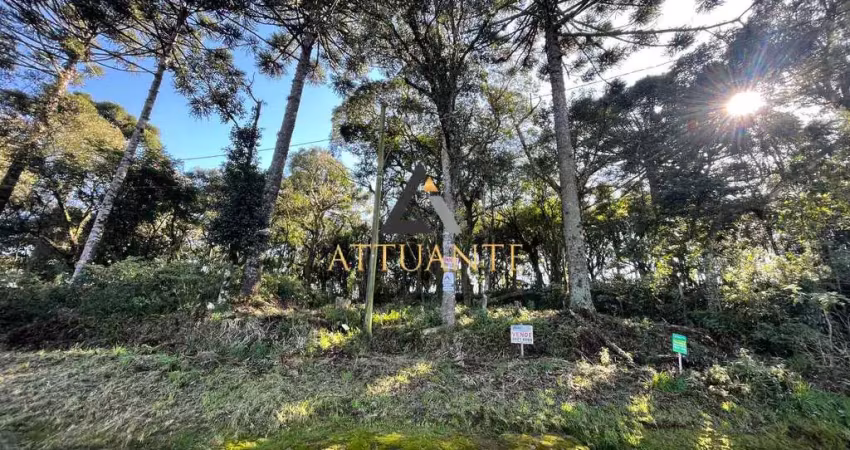 Terreno 455 m² no bairro bela vista – caxias do sul