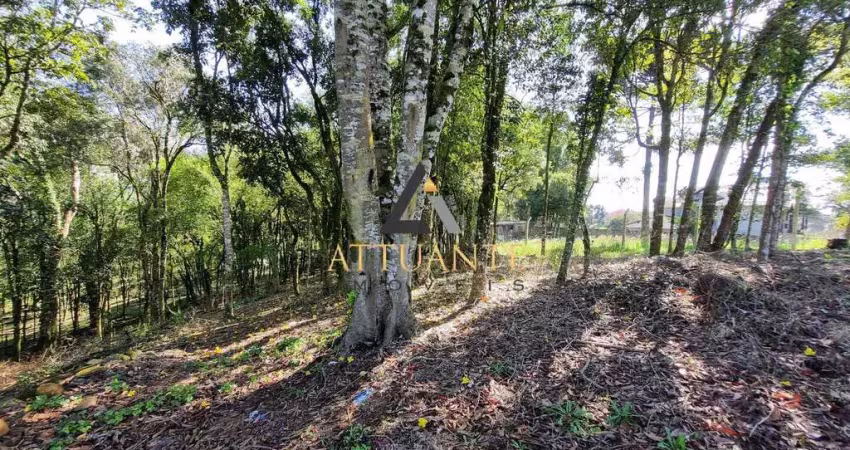 Terreno à venda no Pedancino, Caxias do Sul 
