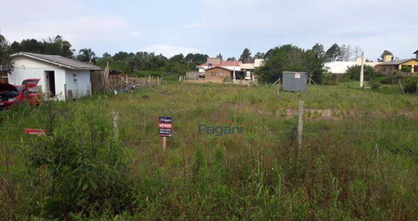Terreno à venda, COM ESCRITURA PÚBLICA 896 m² por R$ 1.100.000 - Pinheira - Palhoça/SC