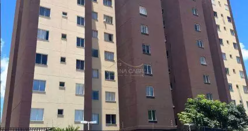 Apartamento 3 quartos com suite e 2 vagas de garagem no boa vista