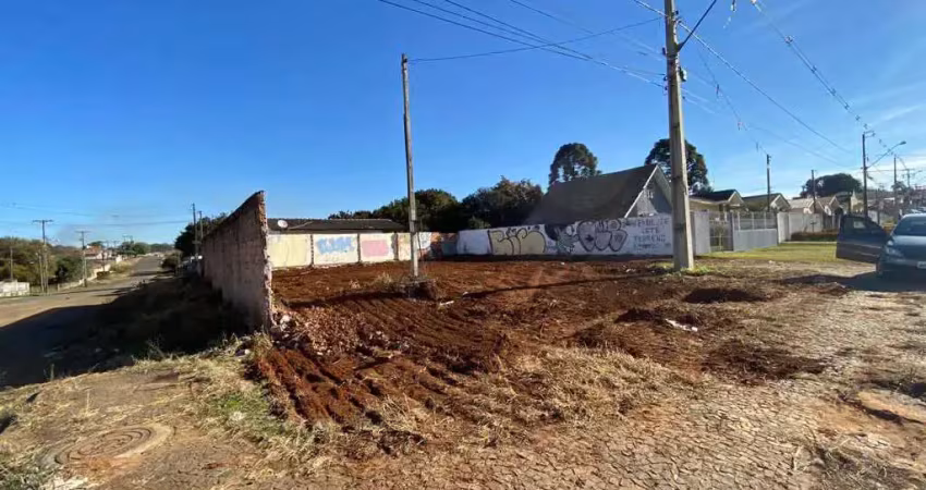 Terreno à venda na Rua Jandaia do Sul, 1890, Oficinas, Ponta Grossa