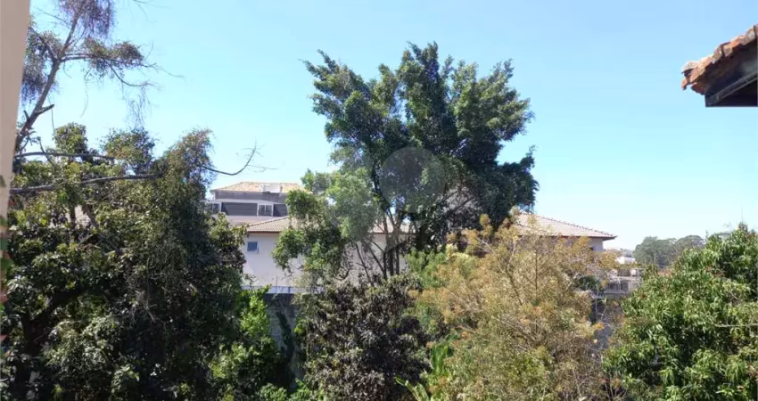 Terreno à venda na Conchilia, Vila Albertina, São Paulo