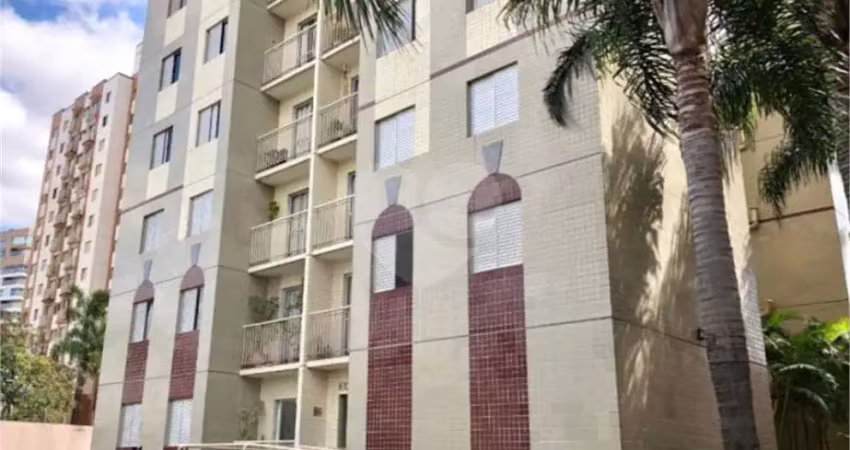 Apartamento com 3 quartos à venda na Rua Alexandre Levi, Cambuci, São Paulo