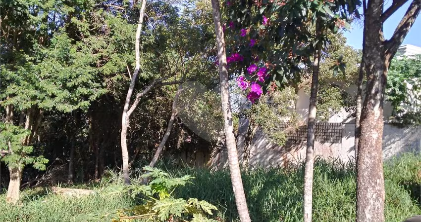 Terreno-São Paulo-TUCURUVI | Ref.: REO495979