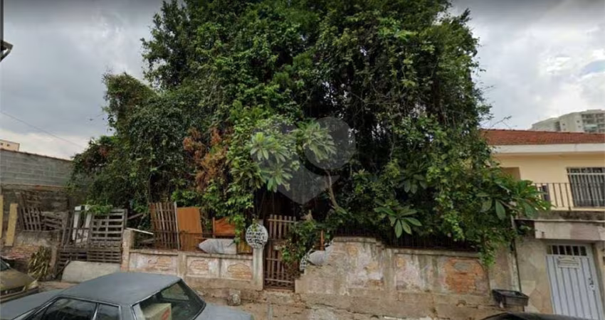 AMPLO TERRENO SA SANTA TERESINHA