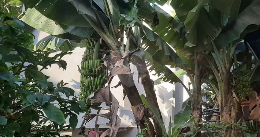 Casa térrea com 3 quartos à venda em vila albertina - sp