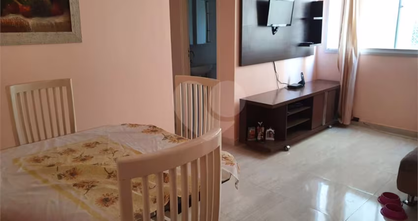 APARTAMENTO / SANTA TEREZINHA