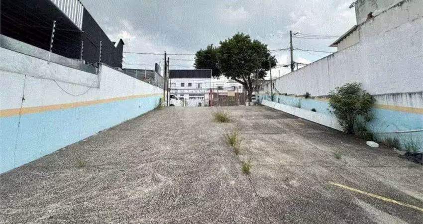 Terreno comercial para alugar na Rua Cerro Corá, Vila Romana, São Paulo