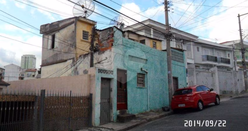 TERRENO A VENDA NA VILA ISOLINA MAZZEI - PRÓX. RUA QUEDAS - 250 M2 - 10 X 25