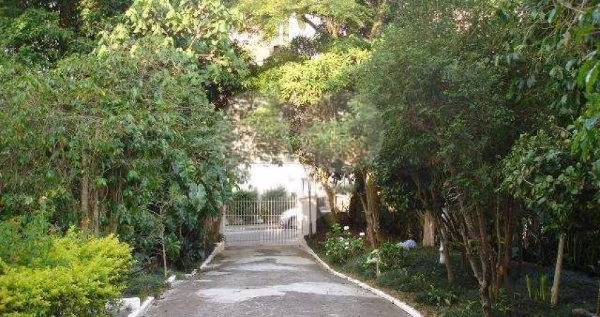 Terreno-São Paulo-TREMEMBÉ | Ref.: REO180166