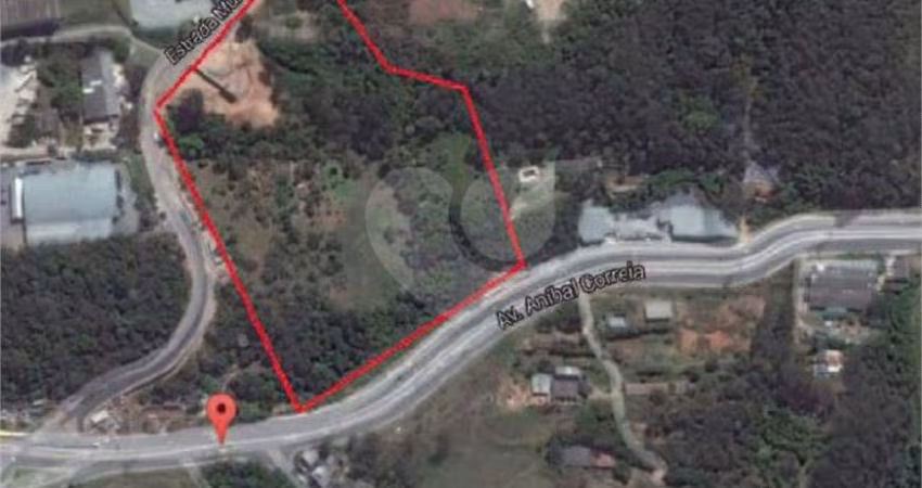Loteamento / Terreno