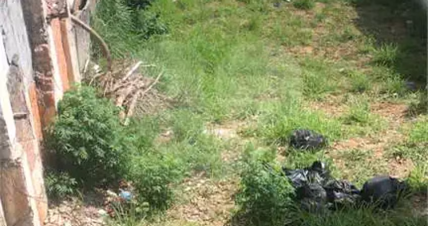 Terreno comercial para alugar na Rua Tomé de Lara, Tucuruvi, São Paulo