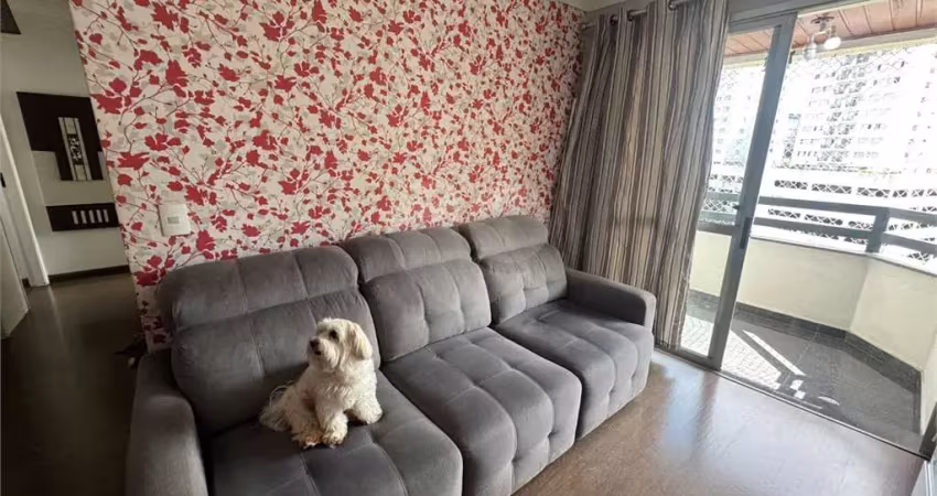 Apartamento com 3 quartos à venda na Rua Doutor Zuquim, Santana, São Paulo