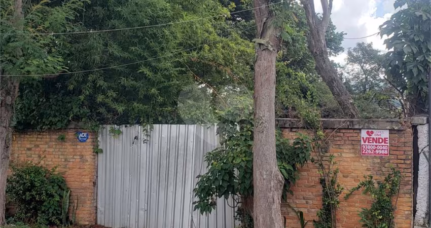 TERRENO PLANO PALMAS