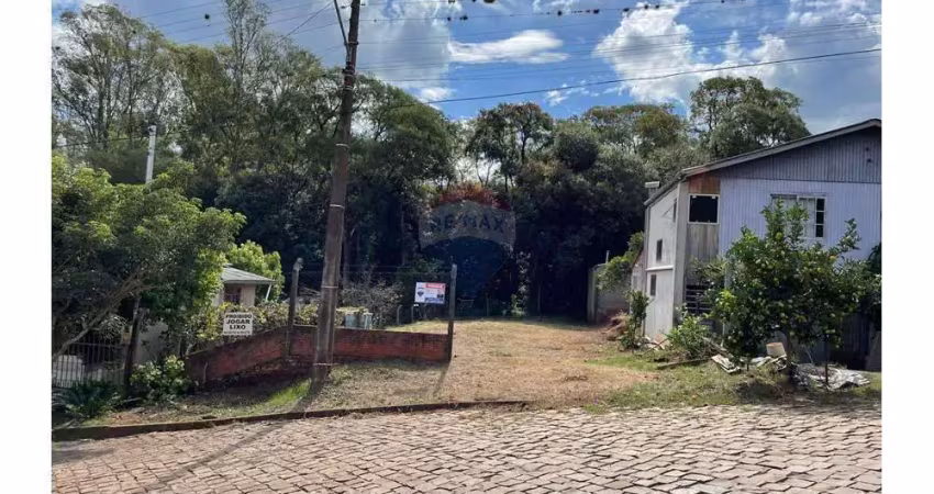 Terreno localizado no bairro martini em não me toque.