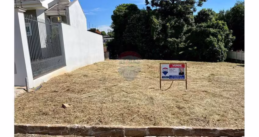 Ótimo terreno localizado no bairro martini em não me toque.