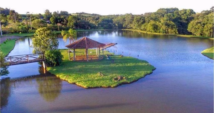 Terreno dos sonhos,  natureza e conforto unificados