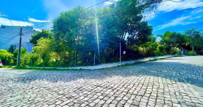 Ferreira negócios imobiliários vende	terreno em caxias do sul bairro medianeira terreno