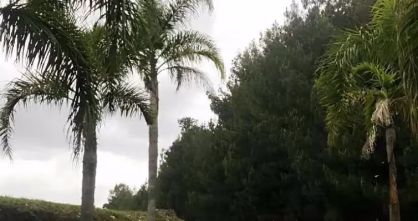 Ferreira negócios imobiliários vende	chácara em caxias do sul bairro vila seca chácara