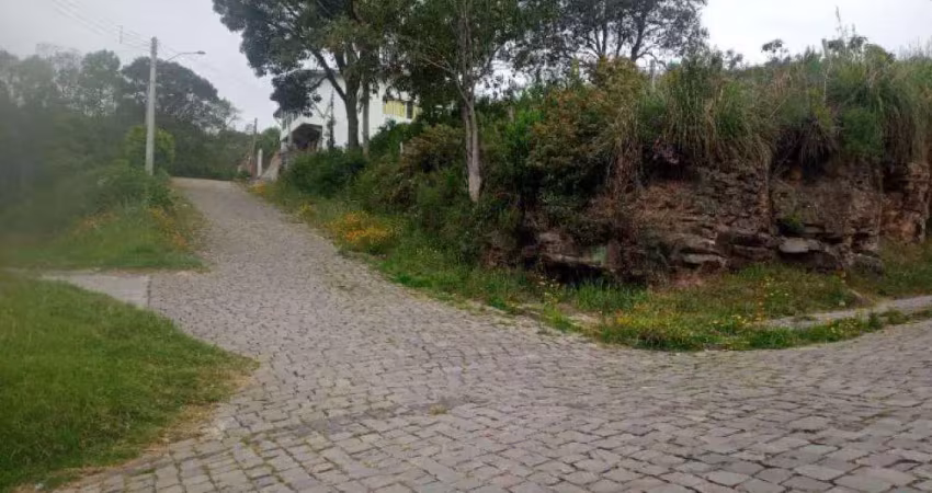 Ferreira negócios imobiliários vende	terreno em caxias do sul bairro brandalise terreno