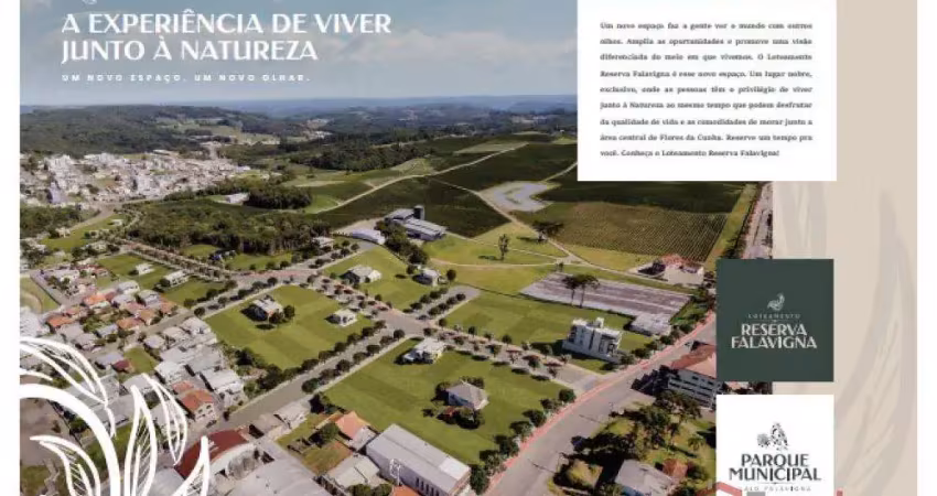 Ferreira negócios imobiliários vende	terreno em flores da cunha bairro centro  reserva falavigna