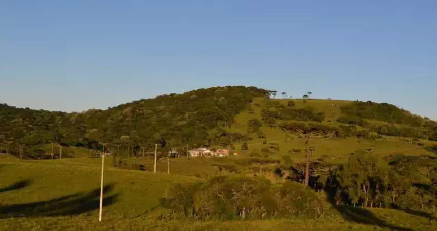 Ferreira negócios imobiliários vende	chácara em sã£o francisco de paula bairro décio ramos décio ramos