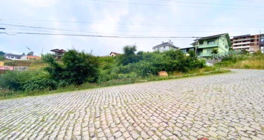 Ferreira Negócios Imobiliários Vende	Terreno em Caxias do Sul Bairro Sanvitto Terreno