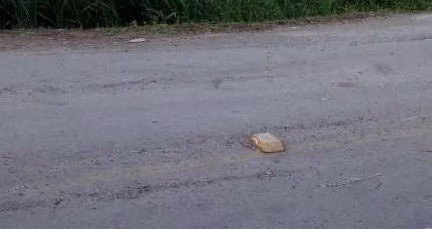 Ferreira Negócios Imobiliários Vende	Chácara em Caxias do Sul Bairro Santa Lúcia do Piaí