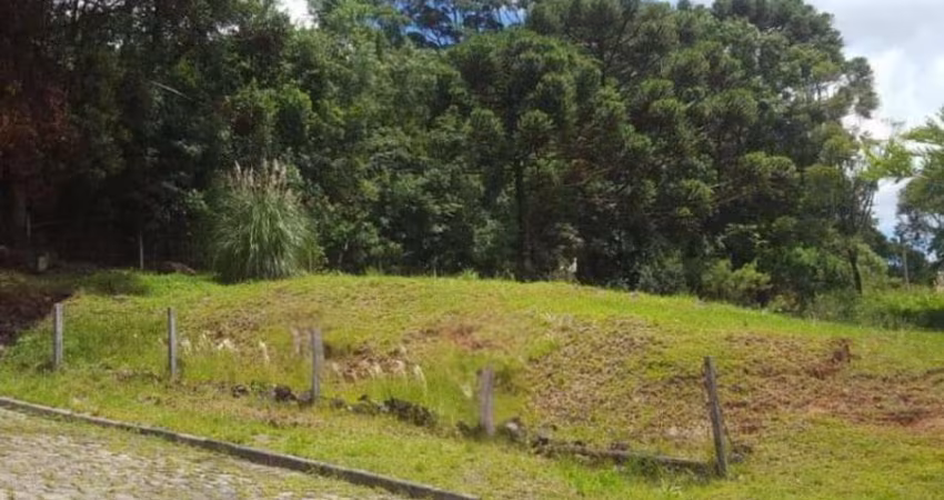 Ferreira Negócios Imobiliários Vende	Terreno em Caxias do Sul Bairro Monte Bérico Lot. Residencial Boa Vista