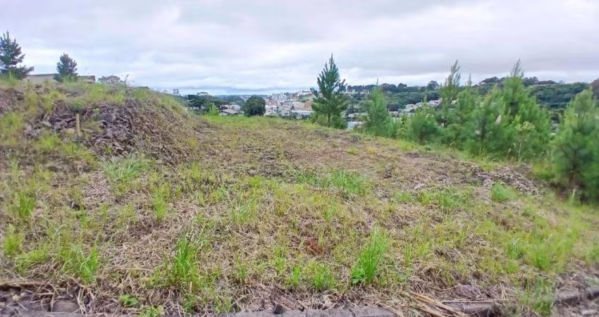 Ferreira Negócios Imobiliários Vende	Terreno em Caxias do Sul Bairro São Ciro Terreno Vale dos Pinhais II