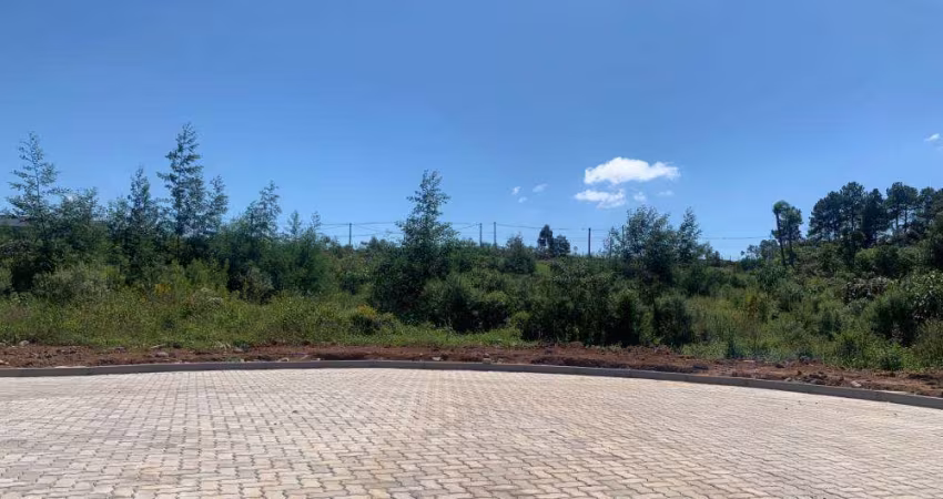 Ferreira Negócios Imobiliários Vende	Terreno em Garibaldi  Bairro Alfândega Loteamento Spader