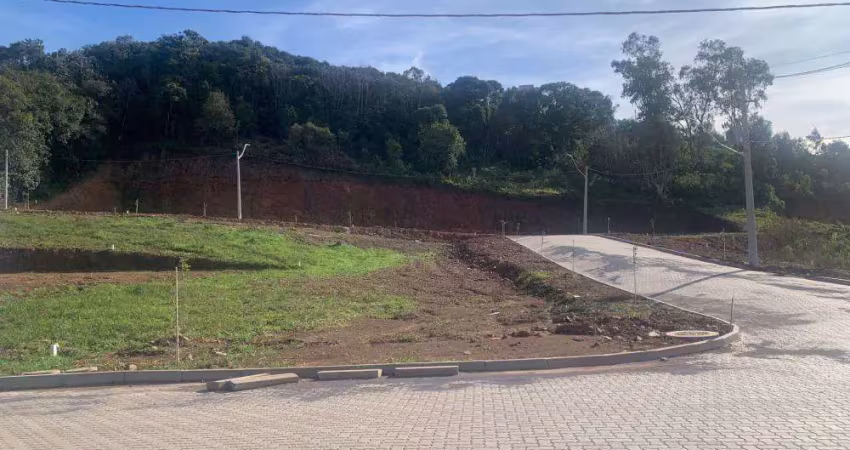 Ferreira negócios imobiliários vende	terreno em bento goncalves bairro são roque longhi