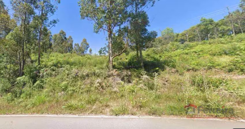 Ferreira negócios imobiliários vende	chácara em caxias do sul bairro são virgílio chácara
