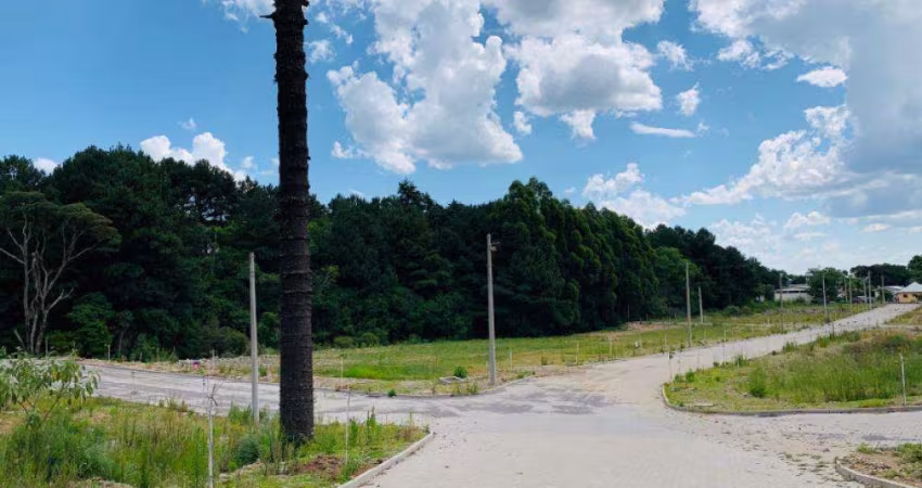 Ferreira Negócios Imobiliários Vende	Terreno em Garibaldi  Bairro Brasília Alameda da Colina