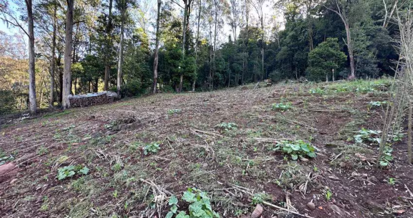 Ferreira negócios imobiliários vende	terreno em caxias do sul bairro galópolis terreno
