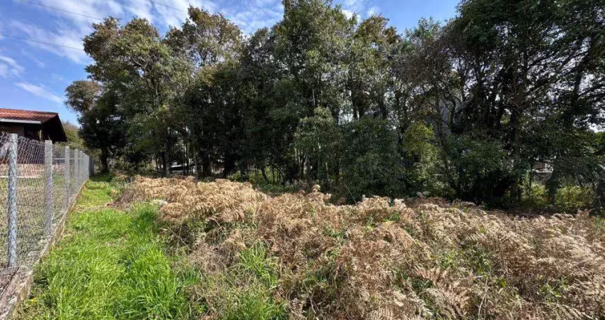 Ferreira negócios imobiliários vende	terreno em caxias do sul bairro são luiz terreno