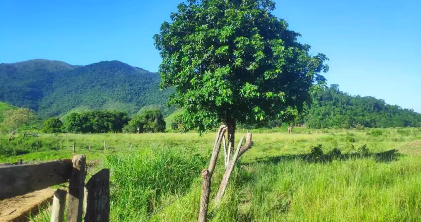 Sítio para venda em cachoeiras de macacu, agro brasil
