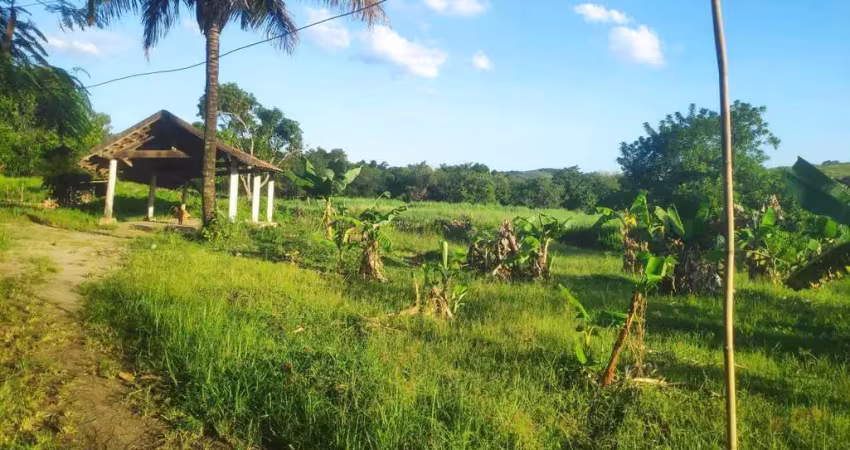 Sítio para Venda em Itaboraí, Peróbas (Pachecos)