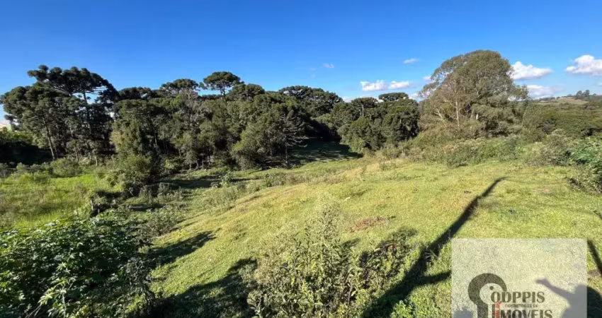 Terreno à venda na Rua Magnólia, Campina da Barra, Araucária