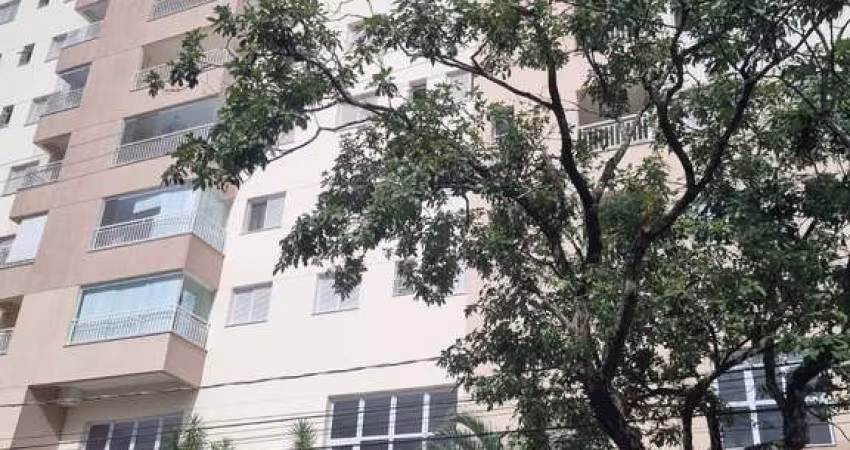 Apartamento # dormitórios Jardim Souto