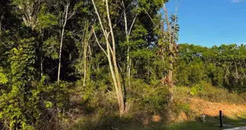 Terreno à venda no Centro, Mata de São João 
