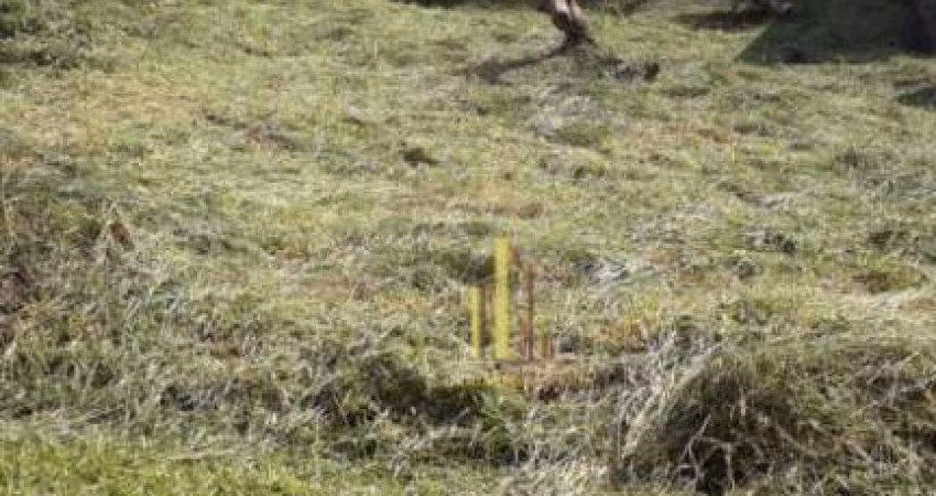 Terreno à venda, 1300 m² por R$ 300.000,00 - Horizonte Azul - Itupeva/SP
