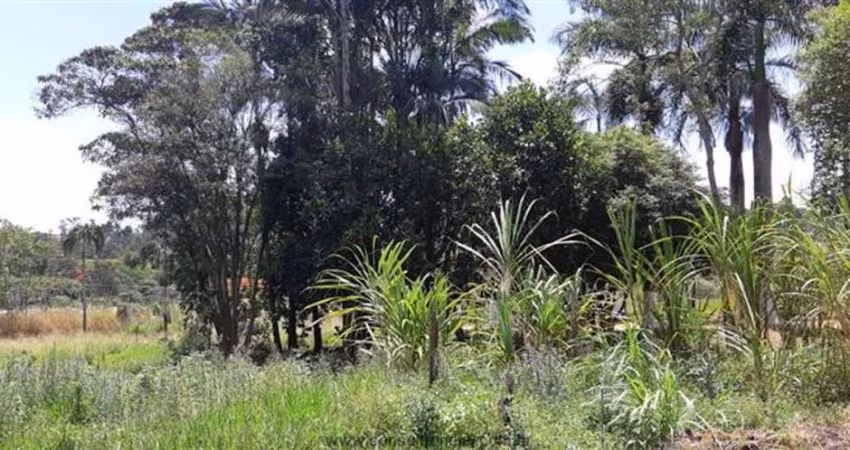 Chácara com 2 dormitórios à venda, 12500 m² por R$ 1.350.000,00 - Condomínio Vista Alegre - Jundiaí/SP