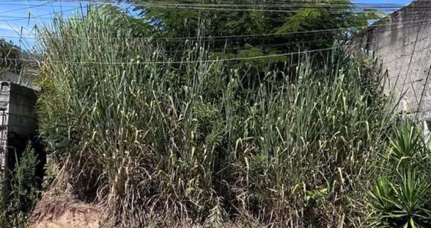 Terreno à venda, 230 m² por R$ 250.000,00 - Barreiro - Mairiporã/SP