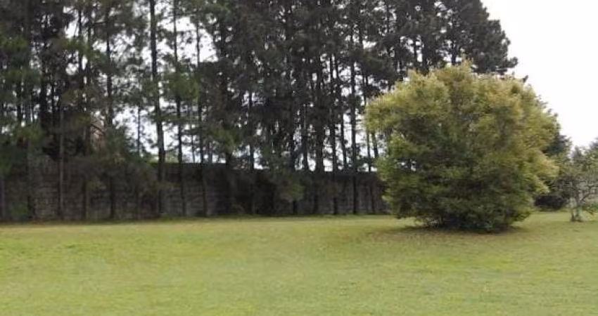 Terreno à venda, 2445 m² por R$ 370.000,00 - Olho D'Água - Mairiporã/SP