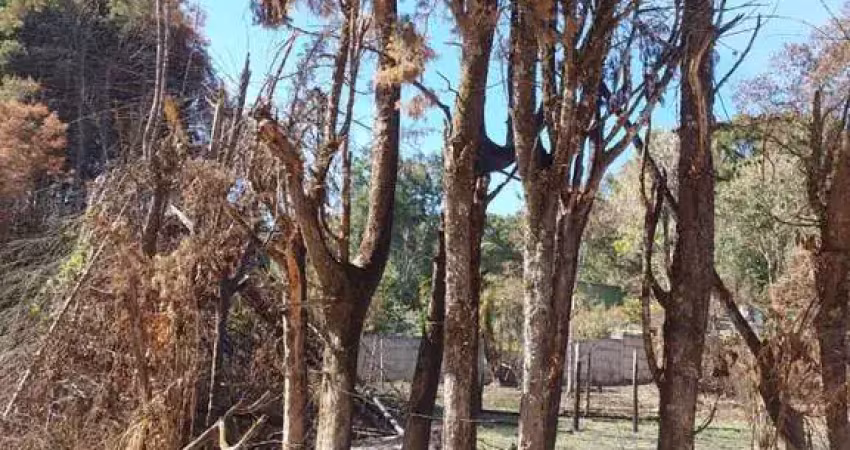Terreno à venda, 3072 m² por r$ 550.000,00 - terra preta - mairiporã/sp